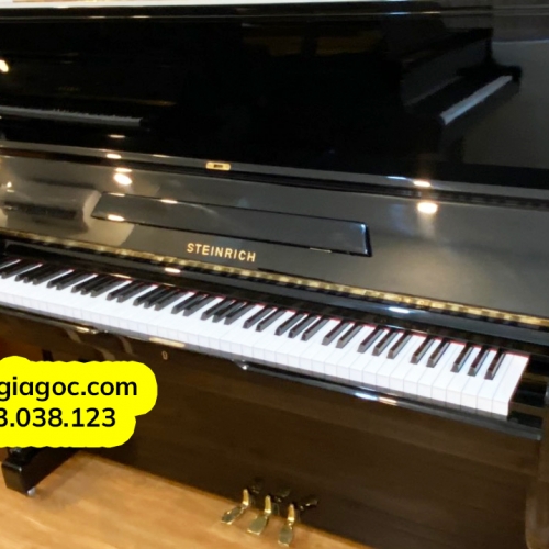 Đàn Piano Upright Steimrich S10